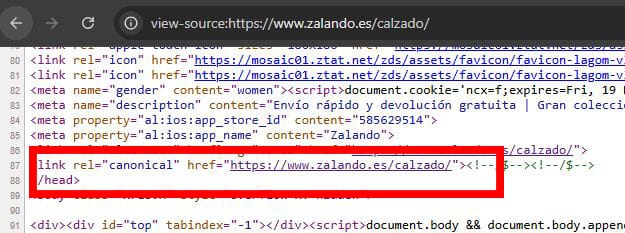 etiqueta canonical en codigo fuente