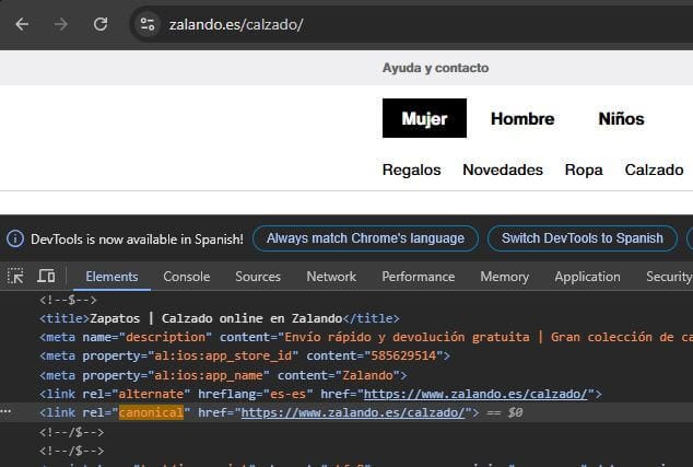etiqueta canonical en HTML renderizado